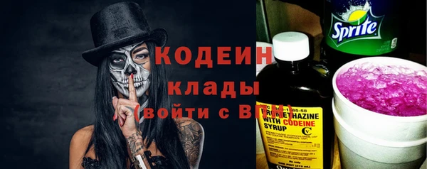 бошки Инта