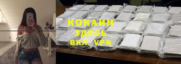 бошки Инта