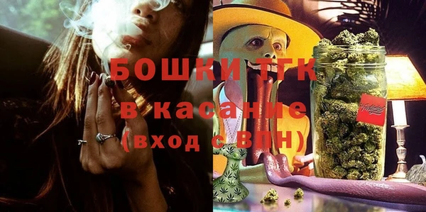 бошки Инта