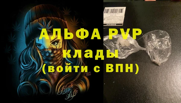 бошки Инта