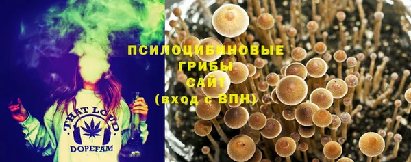 MDMA Инсар