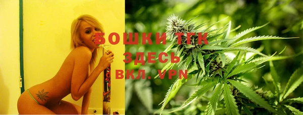 бошки Инта