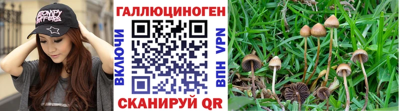 Псилоцибиновые грибы MAGIC MUSHROOMS  как найти закладки  Каменск-Уральский 