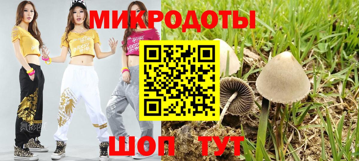 Псилоцибиновые грибы Psilocybine cubensis Каменск-Уральский