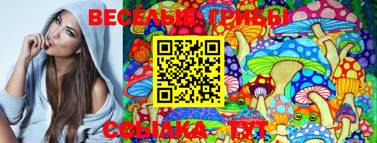 Галлюциногенные грибы Psilocybe  Галлюциногенные грибы Magic Shrooms  Вход с VPN  Каменск-Уральский 